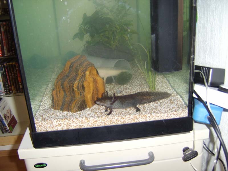 Community: Mein Aquarium | aqua4you.de
