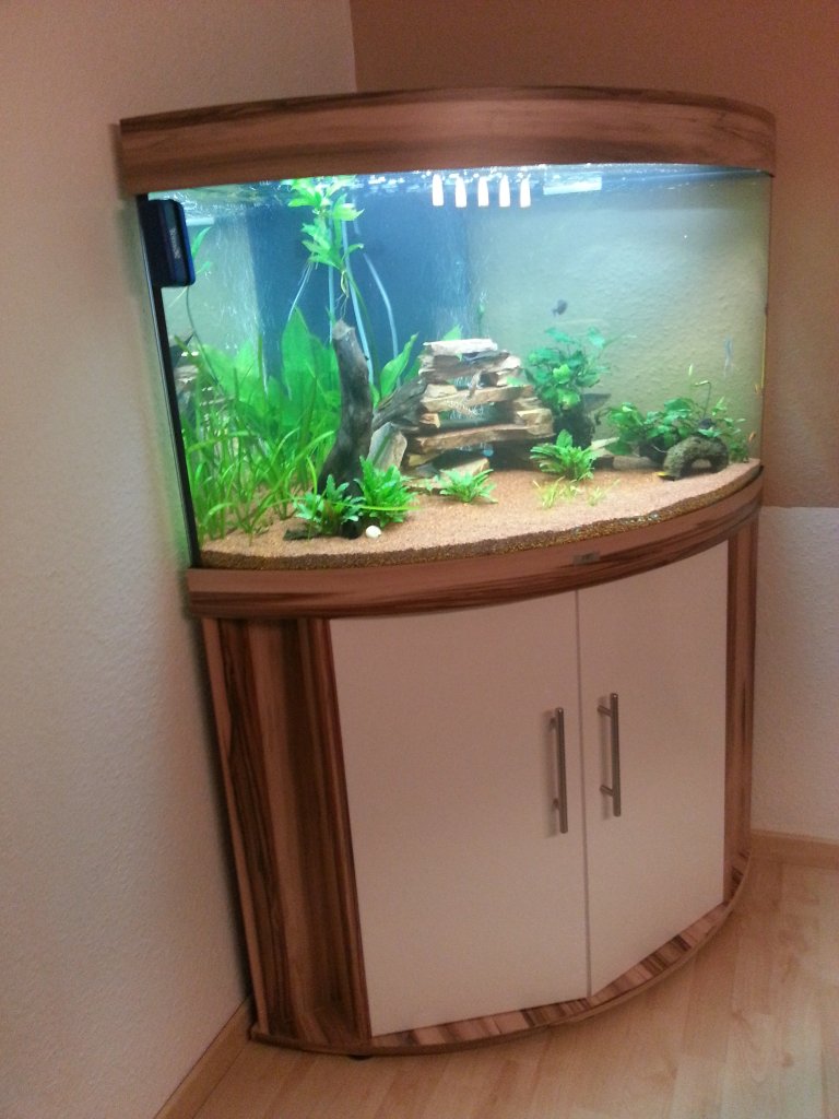 Community: Mein Aquarium | aqua4you.de