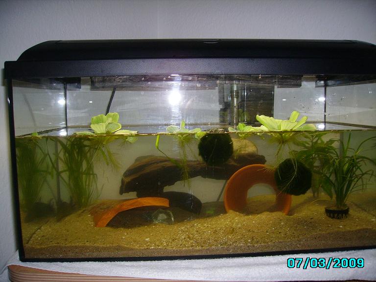 Community: Mein Aquarium | aqua4you.de
