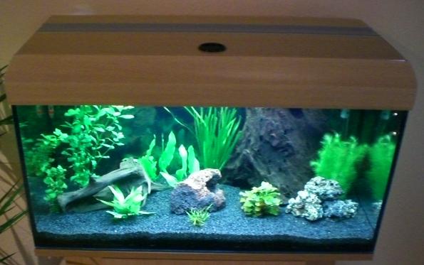 Community: Mein Aquarium | aqua4you.de