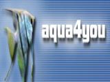 Neues bei aqua4you