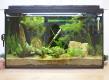 Mike´s Aquarium von sinnovation
