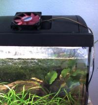 AquariumkÃ¼hlung mit PC-LÃ¼fter