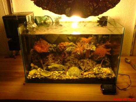 Community: Mein Aquarium | aqua4you.de