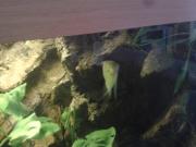 Bild 3
