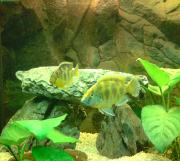 Bild 3