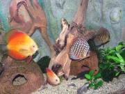 Bild 3